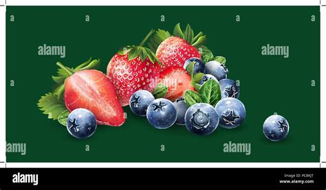 The Cranberries Stock Vector Images Alamy