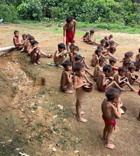 ÍNDIOS DESNUTRIDO NO BRASIL MORRENDO DE FOME E DOENÇAS Portal Noroeste SP