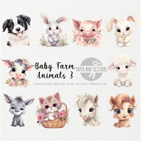 Baby Farm Animals Clipart Baby Farm Animals PNG Animals - Etsy