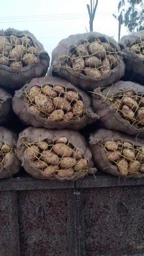 A Grade Uttar Pradesh New Potato Gunny Bag Packaging Size 53 Sai 56 At Rs 721bag In Rampur