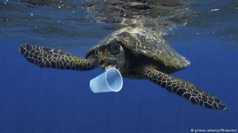 NOVE CONSIGLI PER CONSUMARE MENO PLASTICA