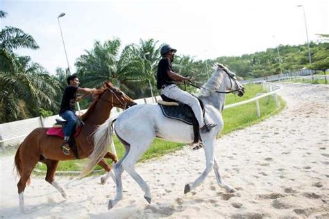 Top 8 Horse Riding In Johor 8 Destinations