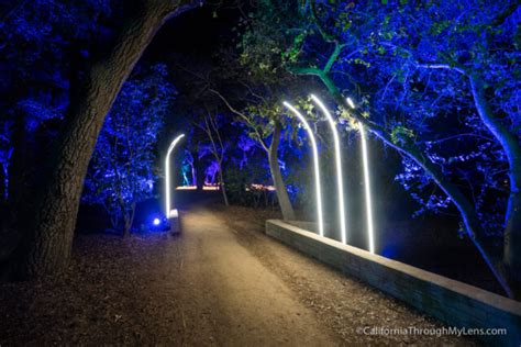 Descanso Gardens: Enchanted Forest of Lights Christmas Lights Display ...