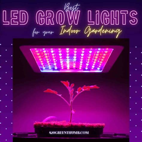 6 Best Led Grow Lights 2022 420 Green Thumb