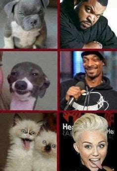 Celebrity Animal Look Alikes Spot on..HAHAHAHAAAA #lolsx Jokes Photos ...