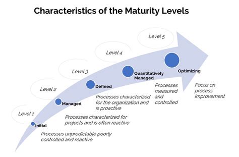 Organization Development Maturity Models