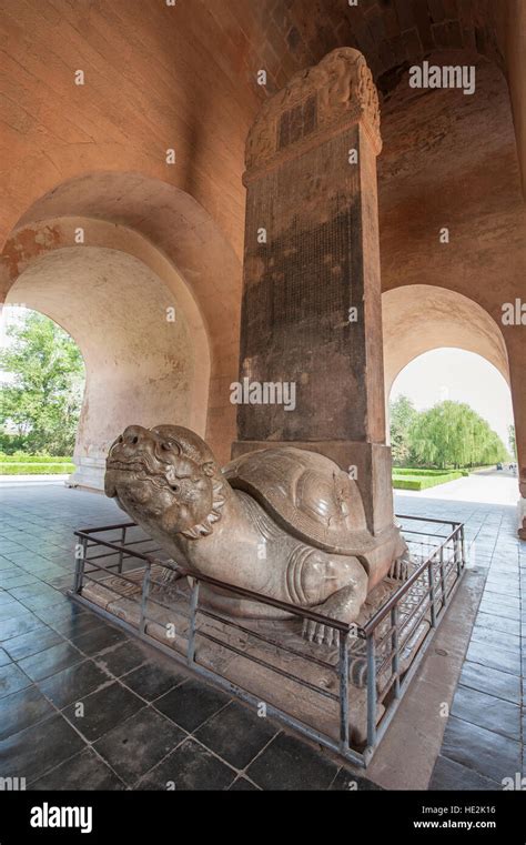 Stone Turtle Statue In Shen Gong Sheng De Stele Pavilion Sacred Way Of