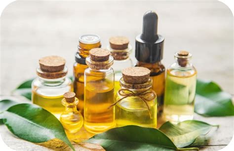 Aromatherapy Diploma Uk