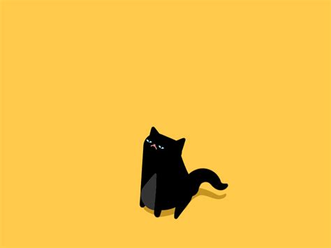 Black Cat Meme Gif