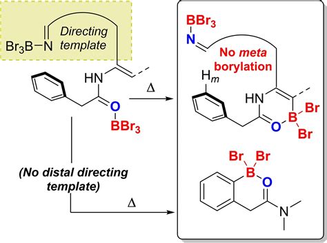 Two Directing Groups Used For Metal Catalysed MetaCH