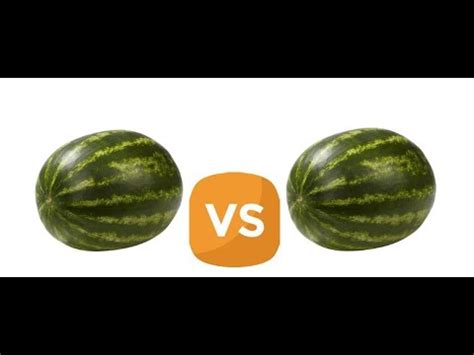 Roblox Watermelon Go Pt Youtube