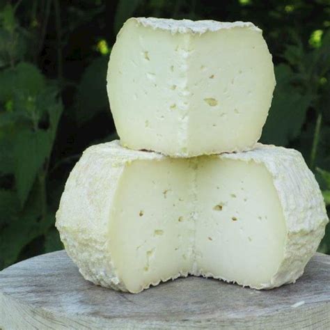 Cheeses of Somerset: 17 Somerset Types | TasteAtlas