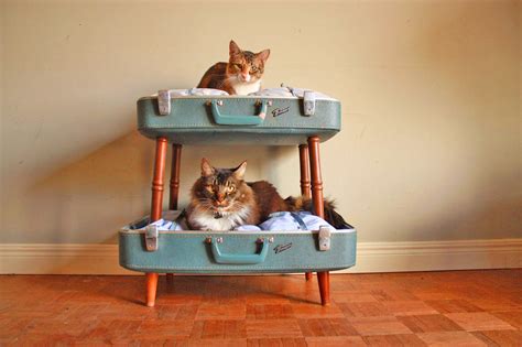 This Suitcase Cat Bunk Bed Is A Brilliant Way To Re Purpose Your Old Luggage