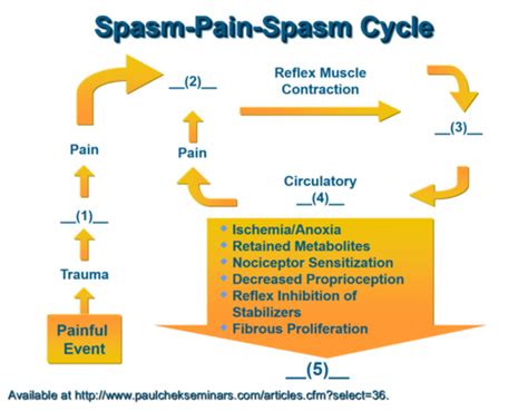 MRT & Muscle Spasm Flashcards | Quizlet