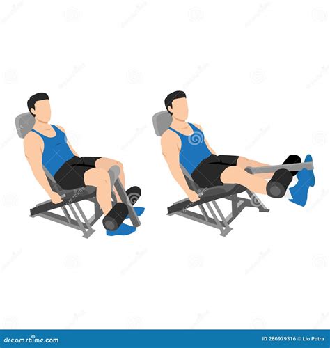 man  seated machine leg extensions exercise stock vector