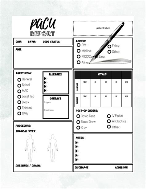 Printable Nursing Report Sheet Nurse Brain Sheet Single Patient