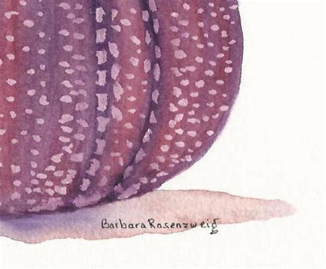 Shell Painting Seashell Print Sea Urchin Watercolor Beach - Etsy