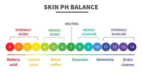 Skin PH Level Explained Skin PH Tests How To Balance Your, 57% OFF