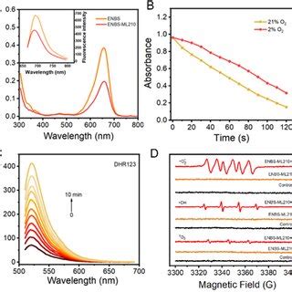 Spectral Properties And ROS Generation Of ENBS ML210 A UV Vis