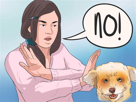 How to Train Havanese Dogs (with Pictures) - wikiHow