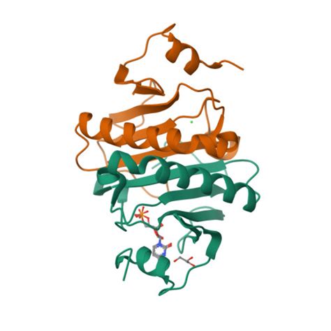 RCSB PDB 5KM2 Human Histidine Triad Nucleotide Binding Protein 1