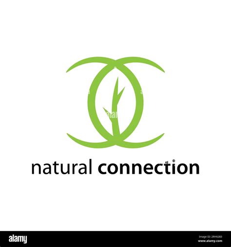 Nature Connection Logo Natural And Organic Logo Design Vector Stock