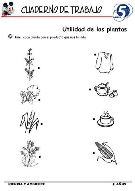 Ba O Extremistas Estar Satisfecho Utilidad De Las Plantas Para Colorear