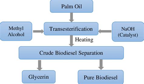 Steps Of Biodiesel Manufacturing Process From Palm Oil Download