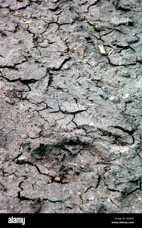 Dried Cracked Soil Hi Res Stock Photography And Images Alamy