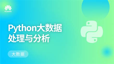 Python大数据处理与分析