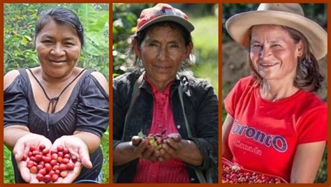 Con Ocasión Del Día De Las Mujeres Rurales Varias Ong Le Apuestan Al Empoderamiento De Las