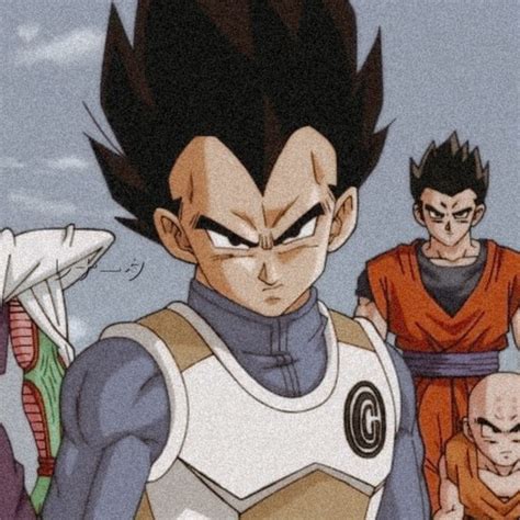 🔹𝙑𝙚𝙜𝙚𝙩𝙖🔹 𝙄𝙘𝙤𝙣𝙨 𝘿𝙧𝙖𝙜𝙤𝙣 𝘽𝙖𝙡𝙡 𝙃𝙚𝙧𝙤𝙚𝙨 Dragon Ball Super Manga