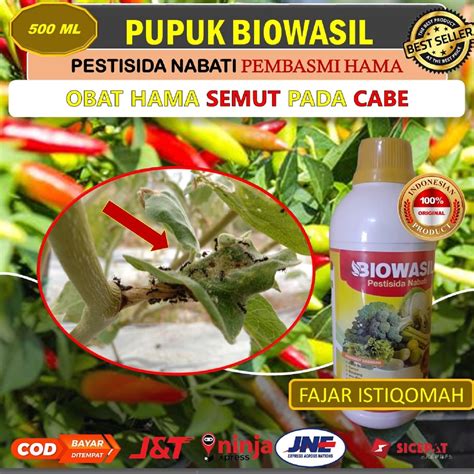 Jual Pupuk Biowasil Isi Ml Obat Pengendali Hama Semut Pada Cabai