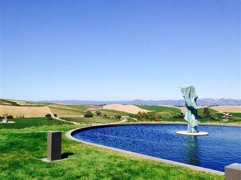 Artesa Vineyards & Winery | Winery, Vineyard, Scenic views