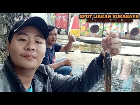 Mancing Ikan Di Dam Kecil Strike Ikan Lele Bertubi Tubi Mas Bro Spot