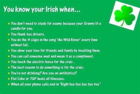 Irish Wake Quotes. QuotesGram