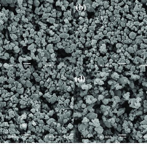 Scanning Electron Microscope Of All Samples Lfp Cathode Materials