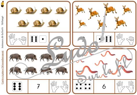 Cartes Pince D Nombrement Animaux De La For T Ludo Sur Le Fil