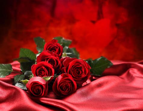 Rose Flower Wallpapers Top Free Rose Flower Backgrounds Wallpaperaccess