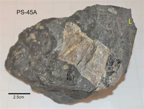 Figure C Sample Ps A Lherzolite Werhlite Xenoliths L And