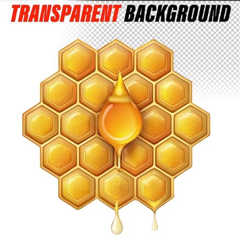 Premium PSD A Honeycomb In A Pool Of Honey