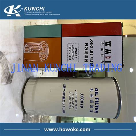 Sinotruk HOWO Oil Filter JX0818 VG6100070005 61000070005 1000424655