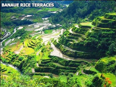 Wonders In The Philippines Rice Terraces In Baguio Banaue Rice