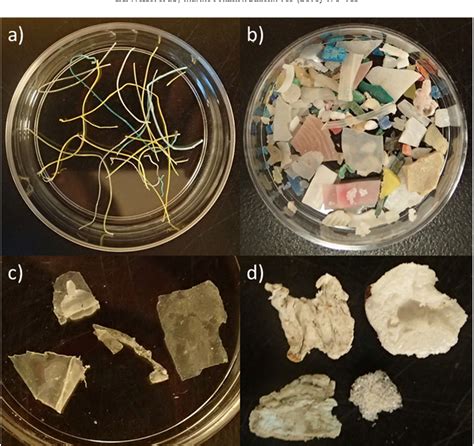 PDF Abundance And Characteristics Of Microplastics In Beach Sediments