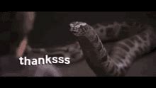 Harry Potter Snake GIFs | Tenor