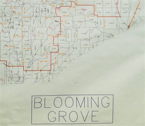 District Map Blooming Grove