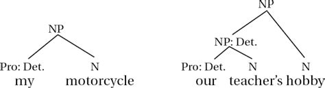 Noun Phrase Structure