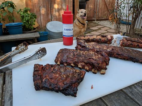 [homemade] 5 Hour Smoke St Louis Spare Ribs R Food