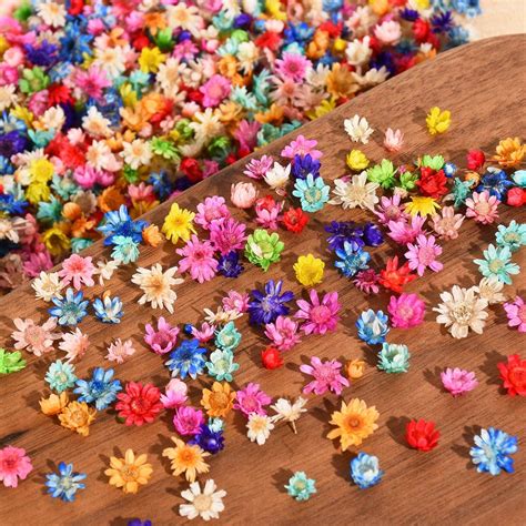 Amazon Pcs Bulk Tiny Dried Flowers For Resin Small Dried