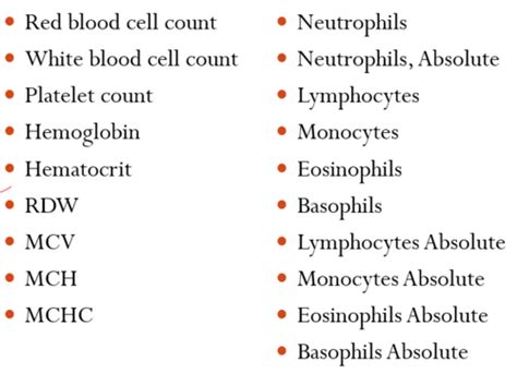 511 Hematology Oncology Block Exam 4 Flashcards Quizlet